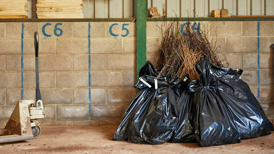 when to plant bare root hedging
