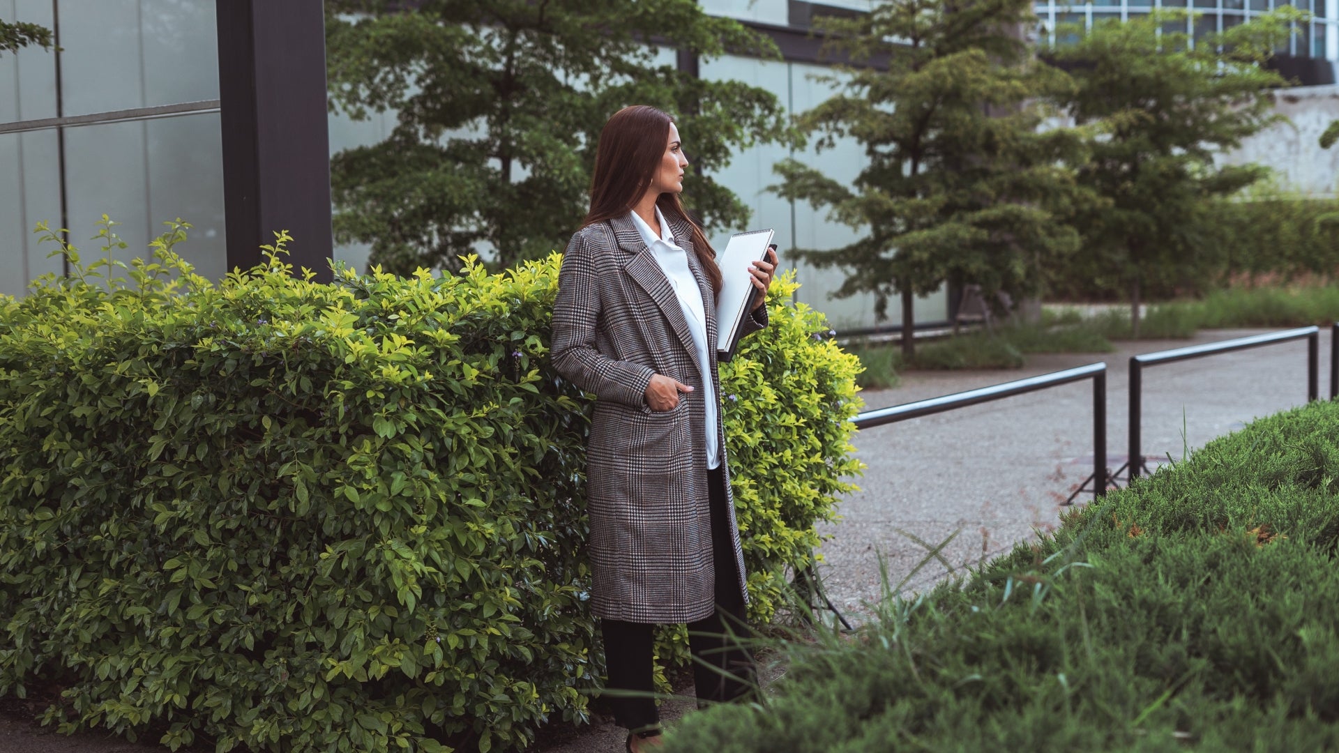 Choosing the Best Low-Maintenance Hedge