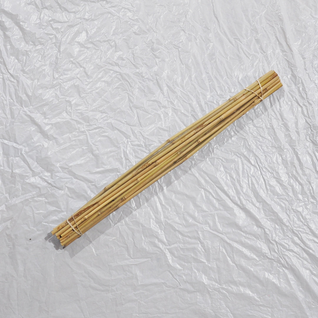 Bamboo Cane (Pack of 25)