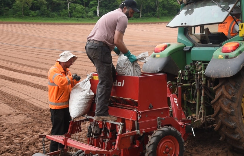 New Project - 2024-08-01T091010.639.jpg__PID:adb526bd-b3d6-4a5d-b219-c1308b2cdc69